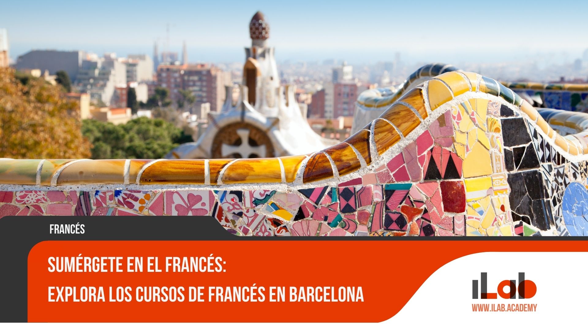 Sumérgete en el Francés: Explora los Cursos de Francés en Barcelona