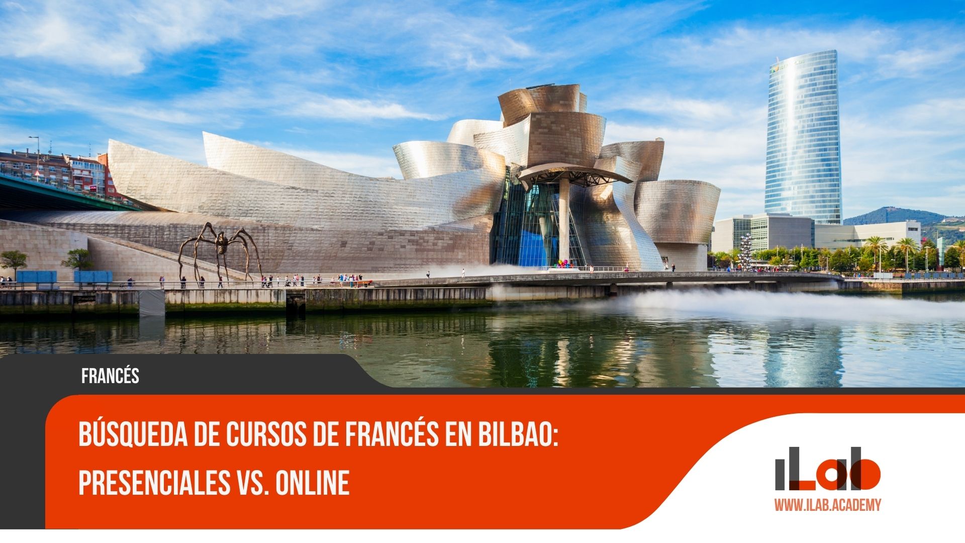 Búsqueda de Cursos de Francés en Bilbao: Presenciales Vs. Online