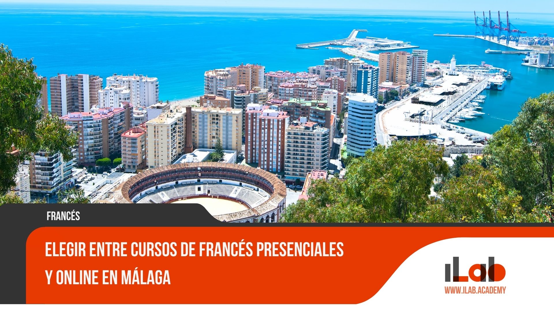 Elegir entre cursos de francés presenciales y online en Málaga