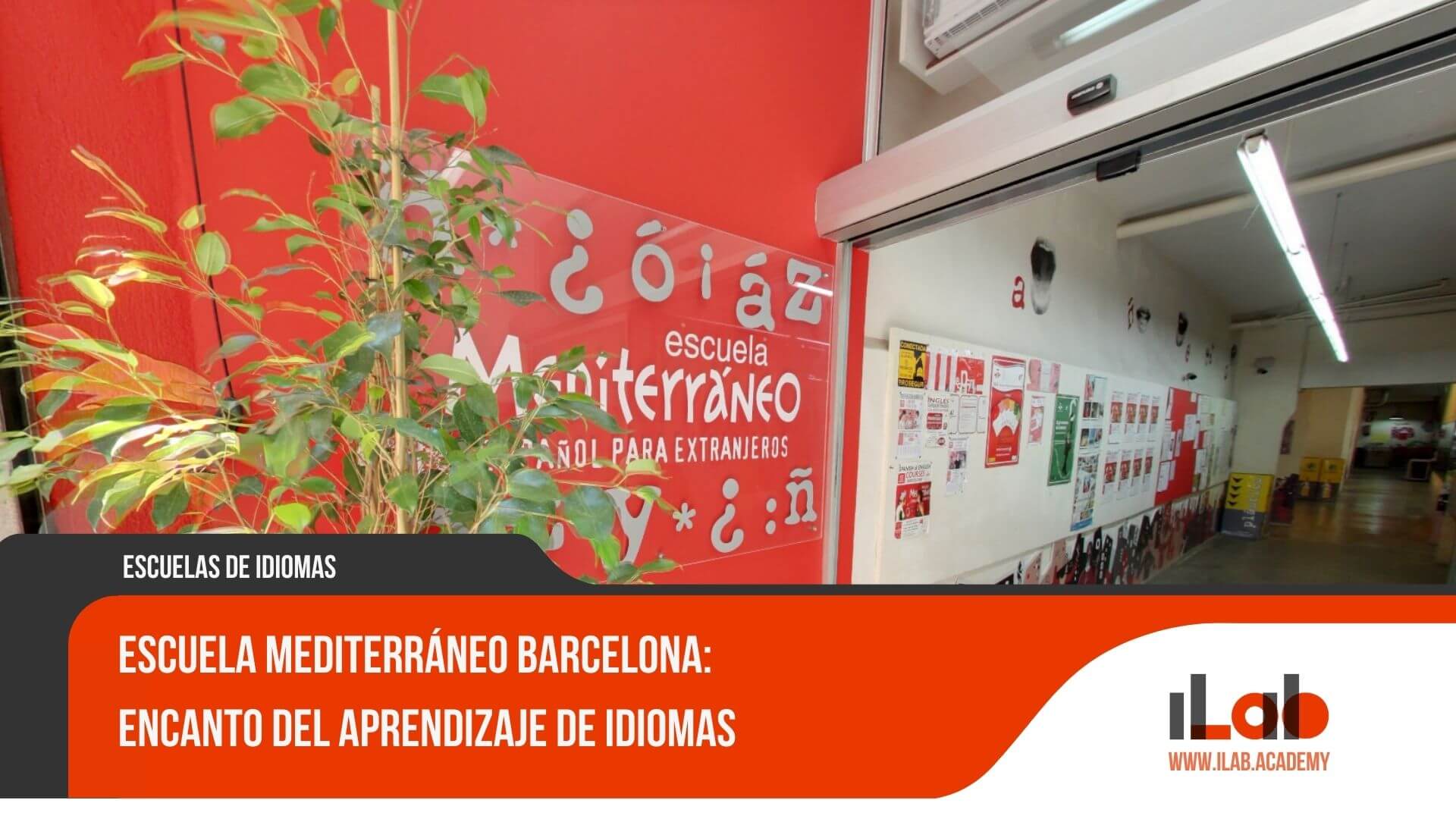 Escuela Mediterráneo Barcelona: Encanto del aprendizaje de idiomas
