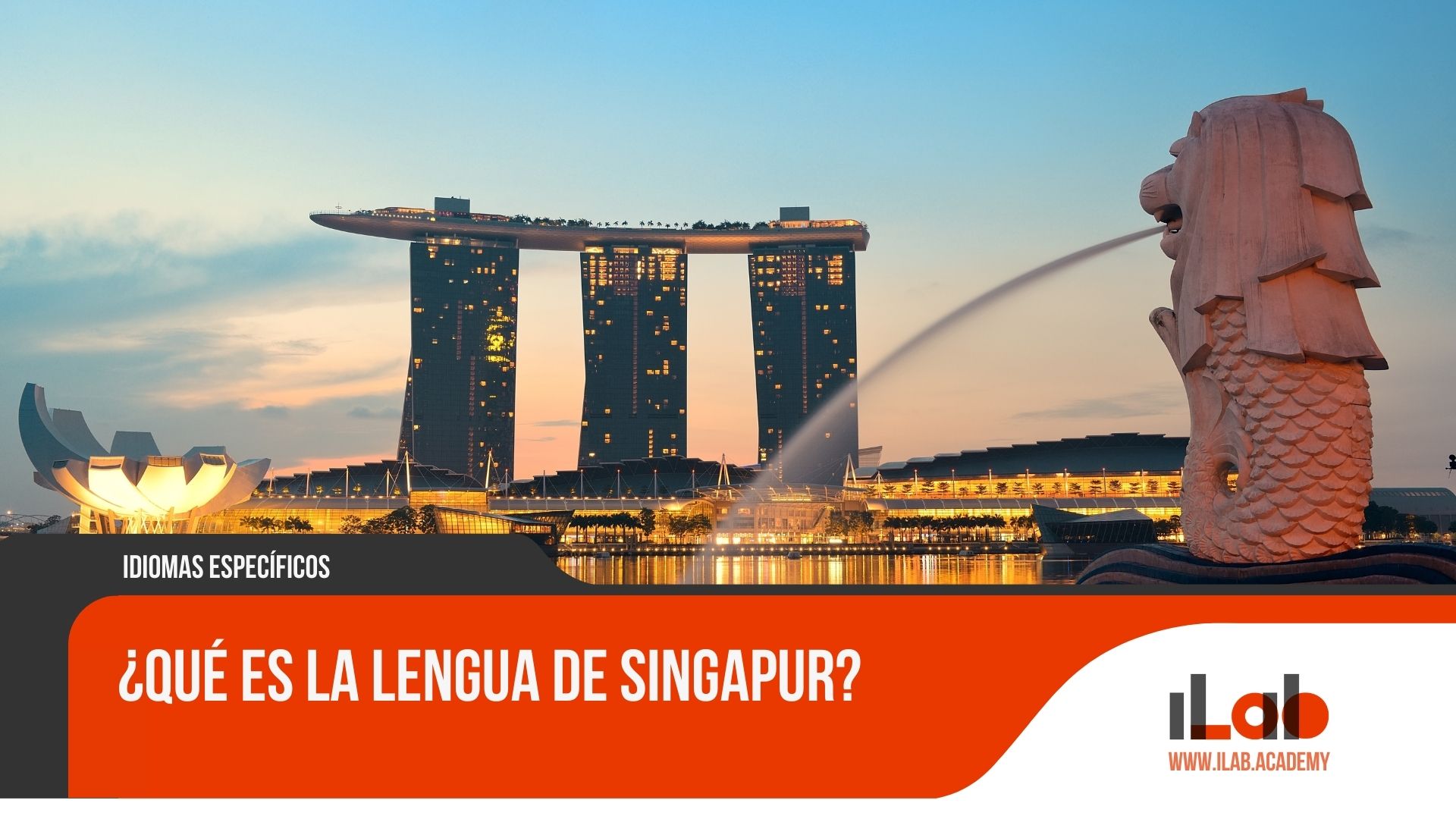 ¿Qué es la lengua de Singapur?