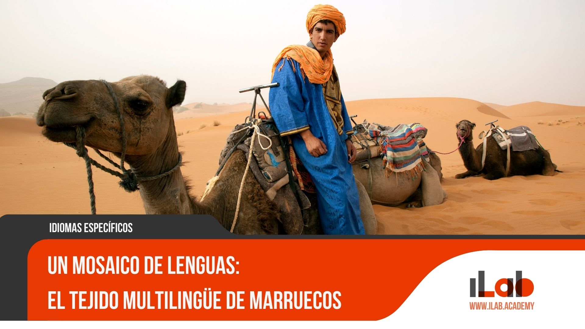 Un mosaico de lenguas: El Tejido Multilingüe de Marruecos