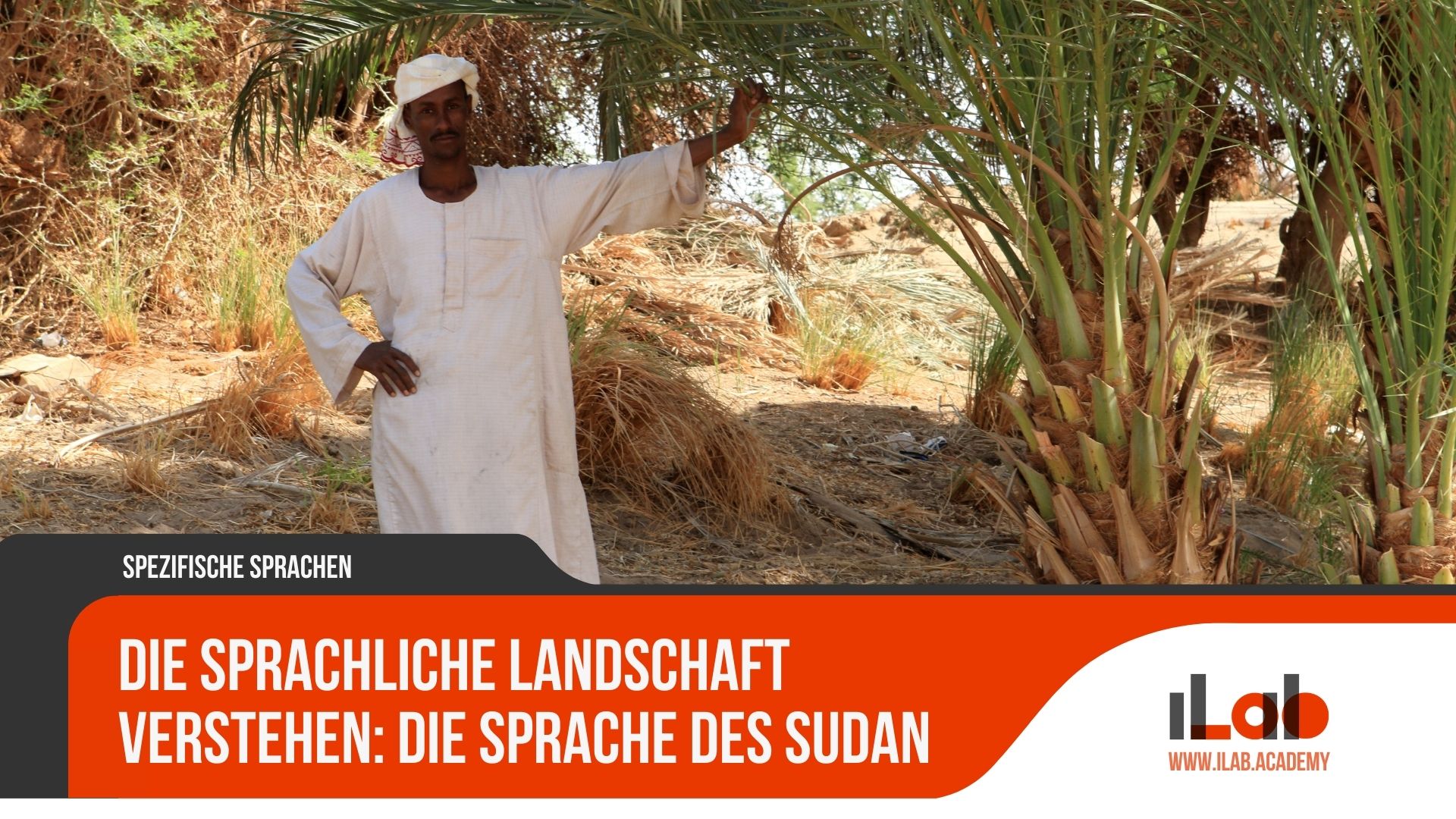 Die sprachliche Landschaft verstehen: Die Sprache des Sudan