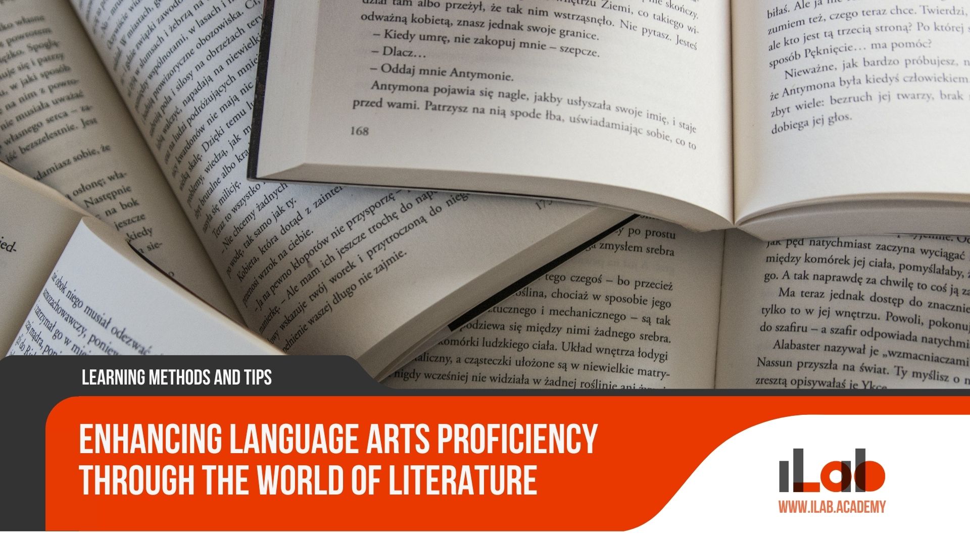 Enhancing Language Arts Proficiency Through the World of Literature