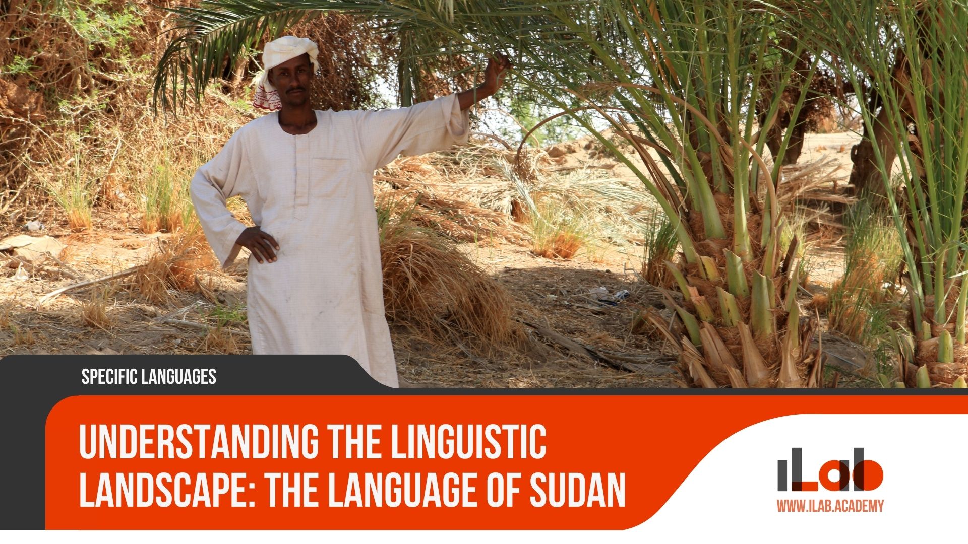 Understanding the Linguistic Landscape: The Language of Sudan