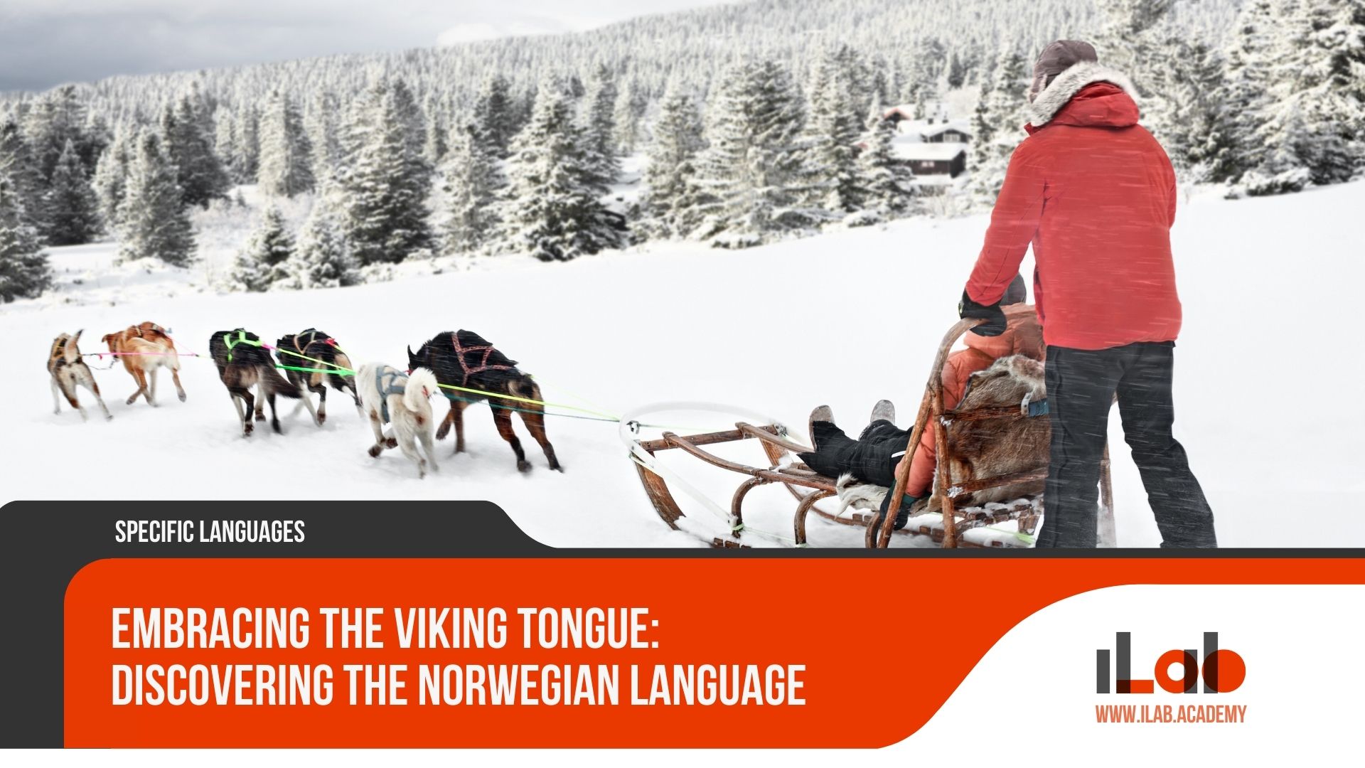 Embracing the Viking Tongue: Discovering the Norwegian Language