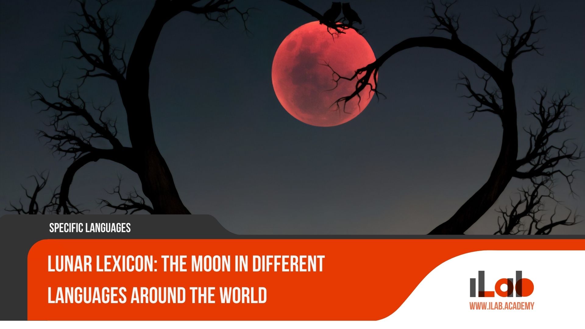 Lunar Lexicon: The Moon in Different Languages Around the World