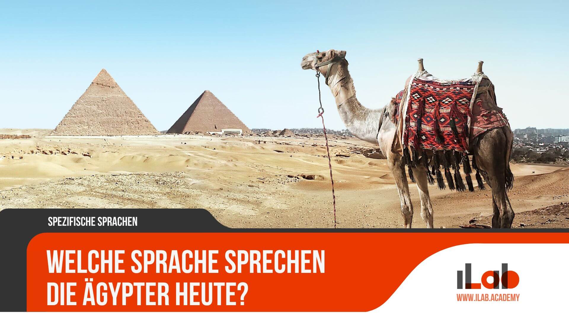 Welche Sprache sprechen die Ägypter heute?