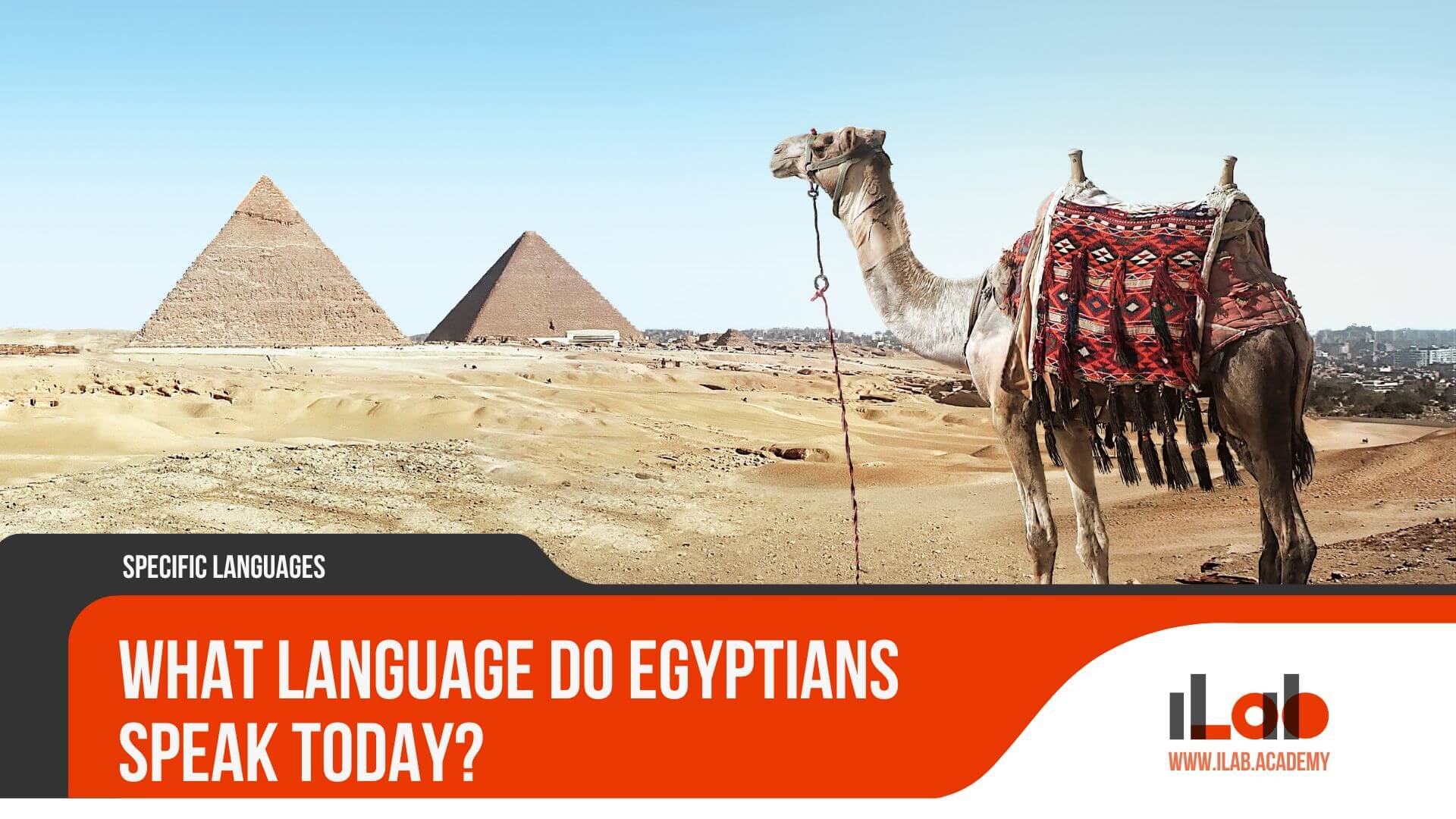 What Language Do Egyptians Speak Today?