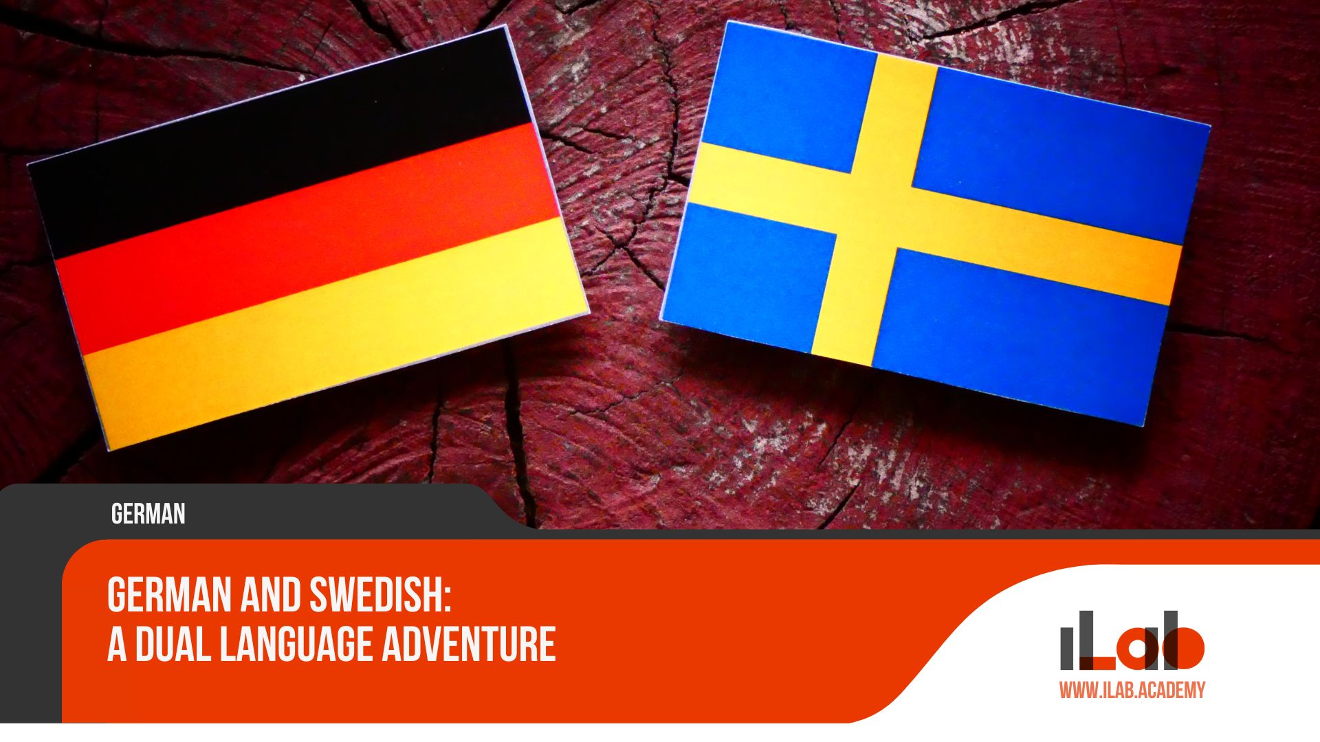 German and Swedish: A Dual Language Adventure